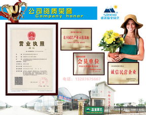 2017花海設(shè)計(jì)、造價(jià)與十年種植施工經(jīng)驗(yàn)下的數(shù)字內(nèi)容制作服務(wù)